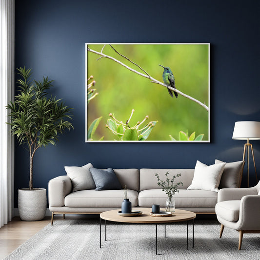 A framed wall art print showing a small hummingbird perched on a branch against a soft green background, displayed above a light gray sofa in a styled living room with a blue wall, plant, coffee table, and lamp.