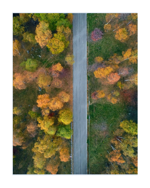 Aerial view of a straight paved road running vertically through a dense forest in autumn, with trees showing yellow, orange, green, and red foliage on both sides.