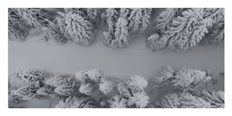Aerial view of a snowy forest with snow-covered pine trees on both sides and a wide snow-covered path or field in the center.