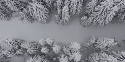 Aerial view of a snow-covered forest with dense evergreen trees blanketed in white snow, separated by a wide snowy path.