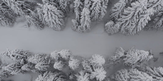 Aerial view of a snow-covered forest with dense evergreen trees blanketed in white snow, separated by a wide snowy path.