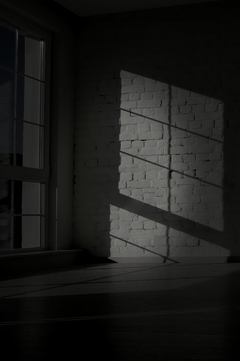 A moody black and white photograph of a white brick wall illuminated by dramatic diagonal sunlight casting shadows across the wall and floor.
