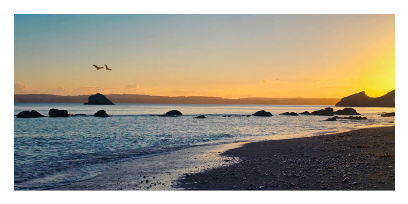A scenic landscape photograph of a beach at sunset, showing calm blue water, dark rocks, a sandy shore, and a glowing orange sky with a bird in flight.