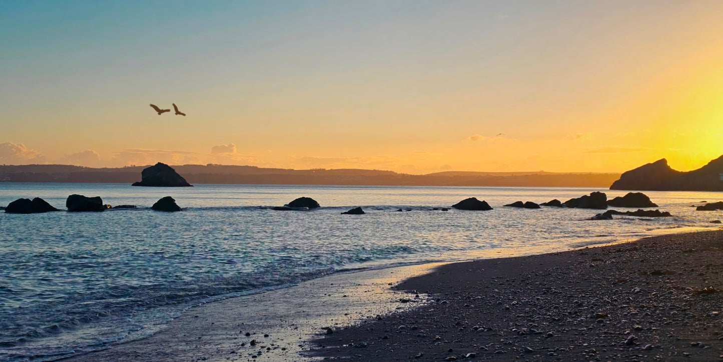 A scenic beach landscape at sunset with gentle waves, dark rocks in the water, a sandy shore in the foreground, distant landforms, and a bird flying across a warm-toned sky.