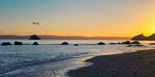 A scenic beach landscape at sunset with gentle waves, dark rocks in the water, a sandy shore in the foreground, distant landforms, and a bird flying across a warm-toned sky.