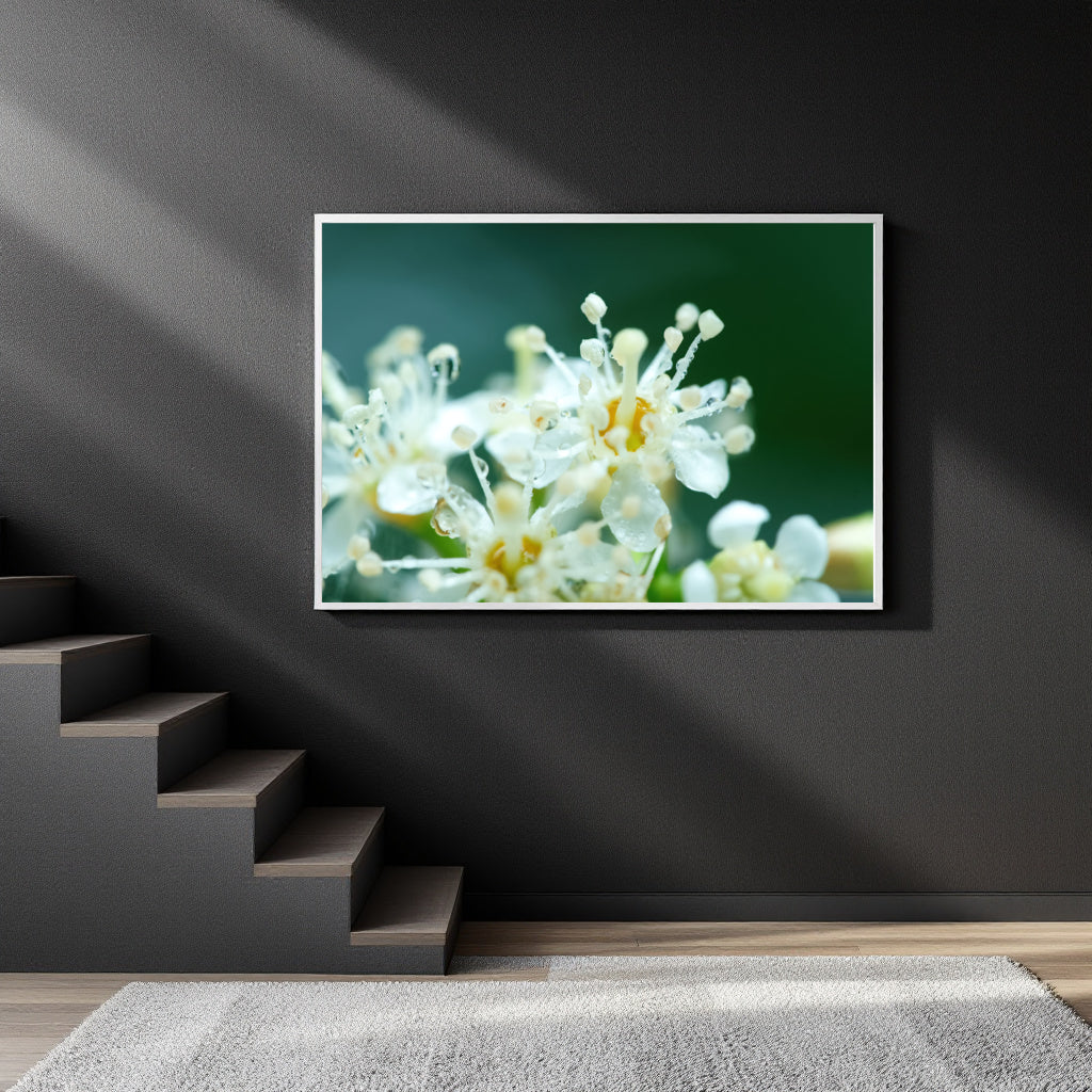 A framed wall art print showing white flowers against a dark green background, displayed on a dark gray wall above a staircase in a modern interior setting.