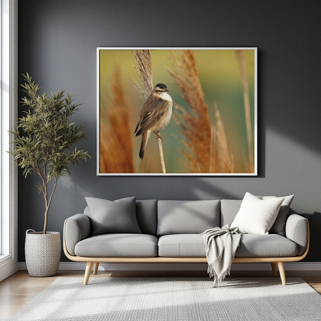 A framed wall art print showing a small bird perched on a reed, displayed above a gray sofa in a modern living room setting.
