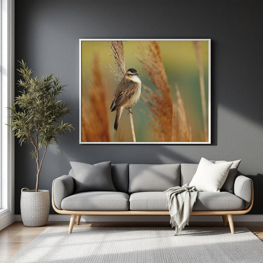 A framed wall art print showing a small bird perched on a reed, displayed above a gray sofa in a modern living room setting.