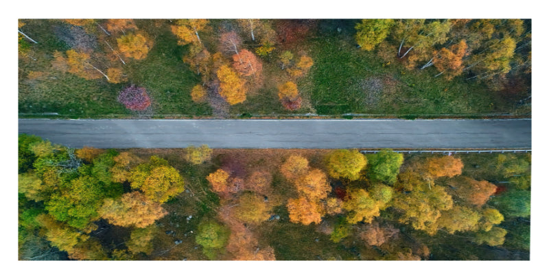 Aerial view of a straight road running horizontally through a forest with autumn foliage in shades of orange, yellow, green, and brown.