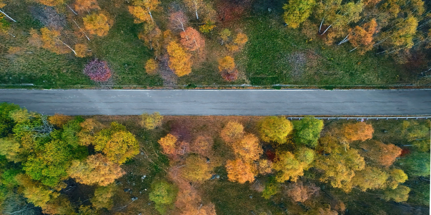 Aerial view of a road running horizontally through a forest with green, yellow, orange, and red autumn trees.