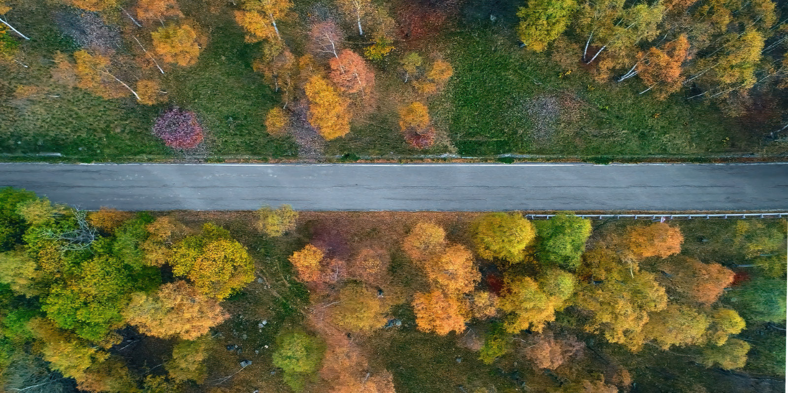 Aerial view of a road running horizontally through a forest with green, yellow, orange, and red autumn trees.