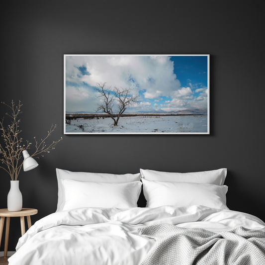 A framed landscape art print of a snow-covered field under a blue sky with a lone tree, displayed on a dark gray wall above a neatly made bed with white bedding.