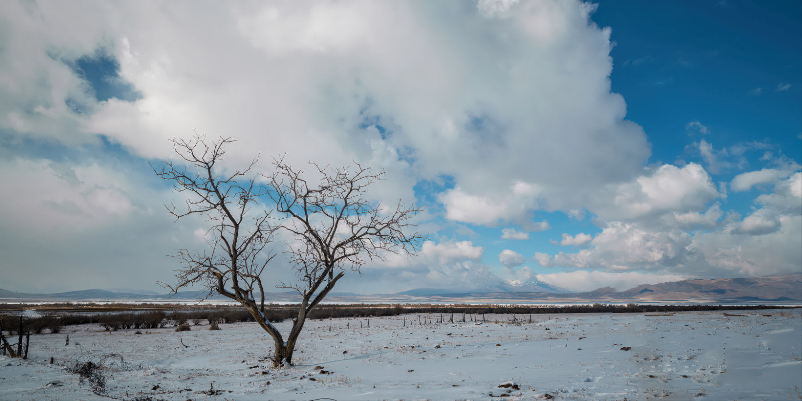 A winter landscape with a snow-covered field, a bare tree in the foreground, distant mountains, and a bright blue sky filled with large white clouds.