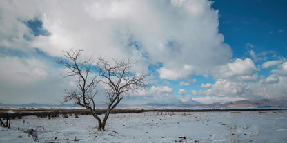 A winter landscape with a snow-covered field, a bare tree in the foreground, distant mountains, and a bright blue sky filled with large white clouds.