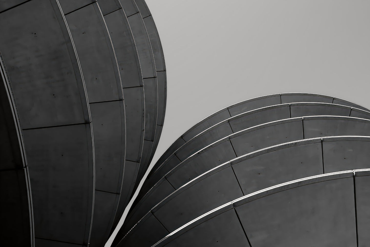 Black and white architectural photograph featuring curved, ribbed dome-like structures against a flat gray sky.