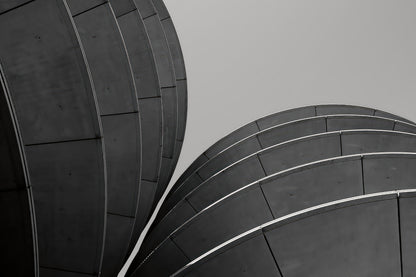 Black and white architectural photograph featuring curved, ribbed dome-like structures against a flat gray sky.