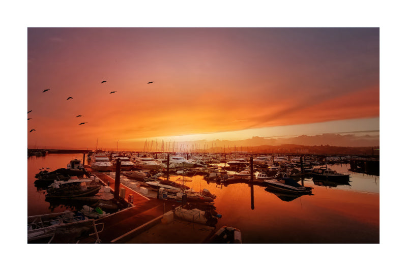 A scenic photograph of a marina at sunset, with orange and pink sky reflections on calm water, numerous boats docked at piers, and birds silhouetted against the sky.