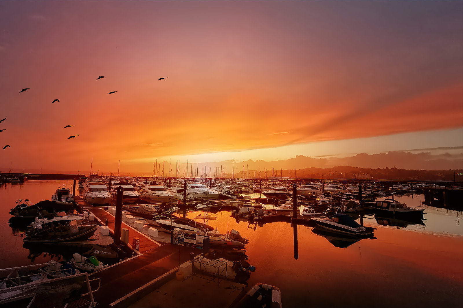 A scenic sunset over a marina filled with boats, with warm orange and pink sky tones reflected in the water and birds visible in the upper left.