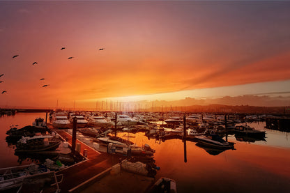 A scenic sunset over a marina filled with boats, with warm orange and pink sky tones reflected in the water and birds visible in the upper left.