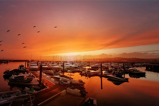 A scenic sunset over a marina filled with boats, with warm orange and pink sky tones reflected in the water and birds visible in the upper left.