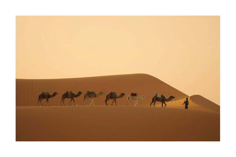 A desert landscape with a caravan of camels and a person walking along the dunes under a warm golden sky.