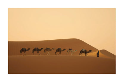 A desert landscape with a caravan of camels and a person walking along the dunes under a warm golden sky.