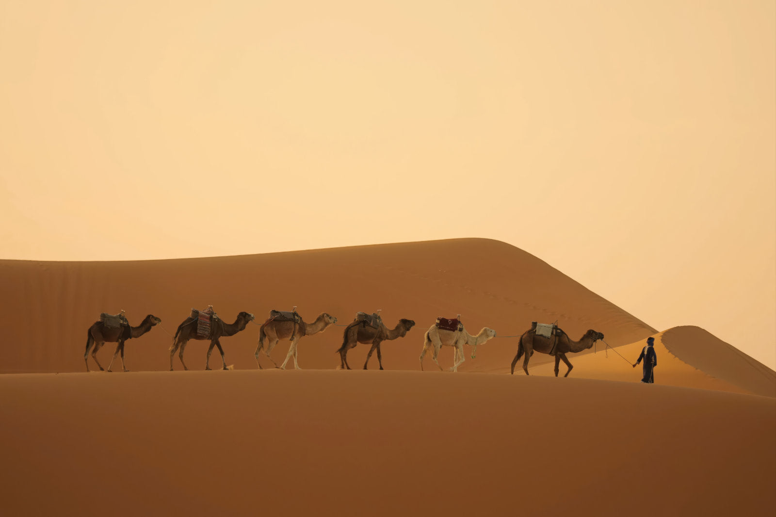 A desert landscape print showing a caravan of camels and a person walking along warm sand dunes under a pale golden sky.