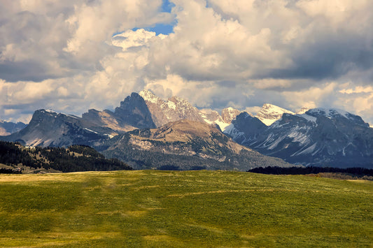 A scenic landscape photograph of snow-capped mountain peaks rising behind a green grassy meadow under a dramatic cloudy sky.