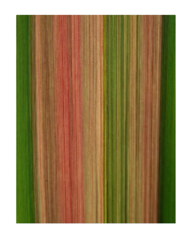 A close-up of a striped fabric or wallpaper pattern featuring vertical bands of green, rust red, tan, and olive.