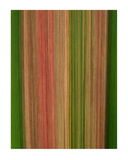 A close-up of a striped fabric or wallpaper pattern featuring vertical bands of green, rust red, tan, and olive.