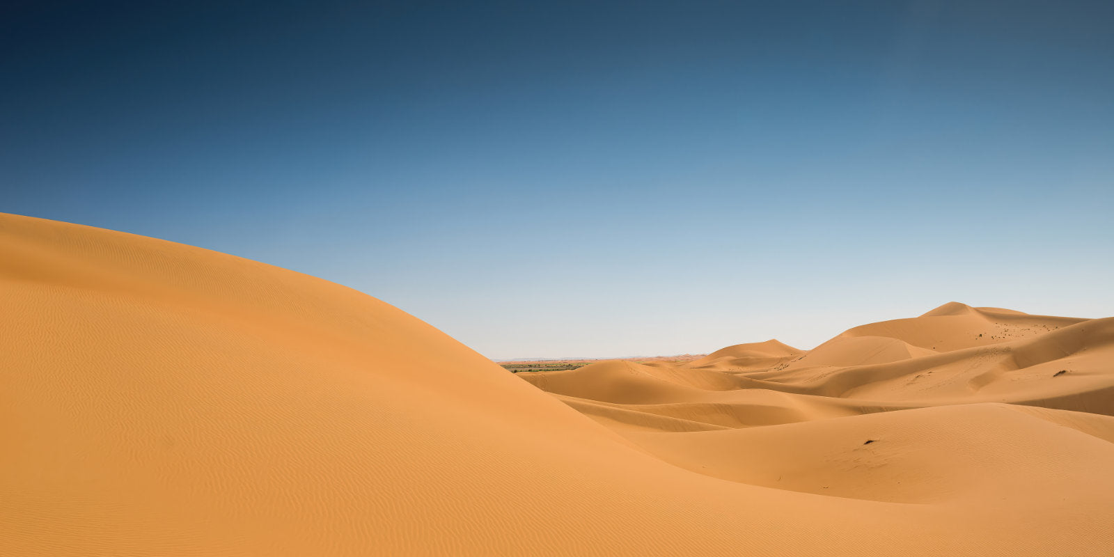A scenic landscape photograph of rolling golden sand dunes under a clear blue sky.