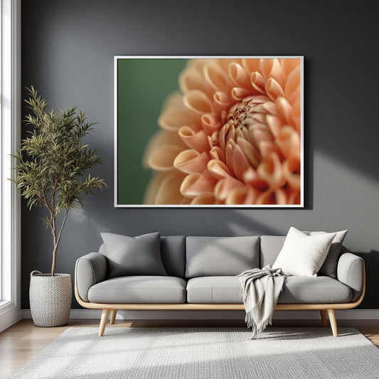 A large framed wall art print featuring a close-up peach and cream flower on a muted green background, displayed above a gray sofa in a modern living room setting.