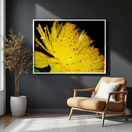 A framed wall art print featuring a close-up yellow flower on a black background, displayed above a tan armchair in a modern room with a dark gray wall, potted plant, and white rug.