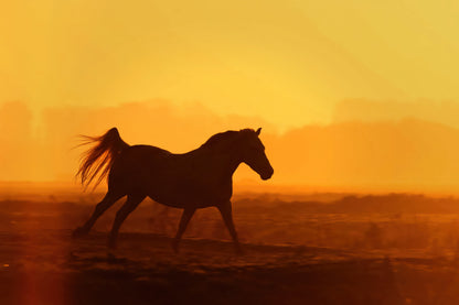 A silhouette of a horse running across a field at sunset, with a bright orange and yellow sky background.