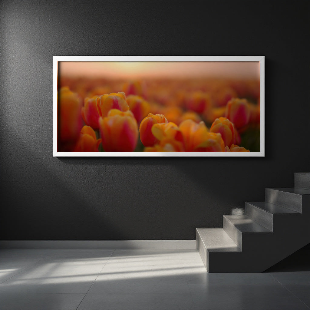 A framed wall art print showing a close-up of orange and pink tulips, displayed on a dark gray wall above a staircase in a modern interior setting.
