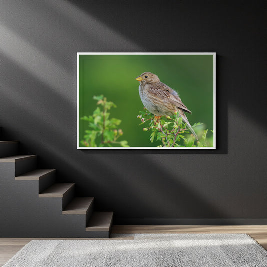 A framed wall art print showing a small brown bird perched on green foliage, displayed on a dark gray wall above a staircase in a modern interior setting.