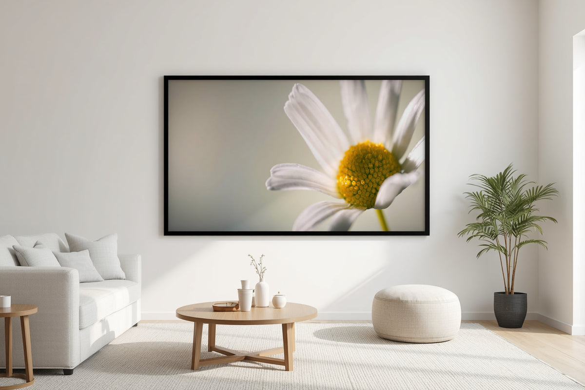 A large framed wall art print depicting a close-up white daisy with a yellow center, displayed in a modern living room setting above a light wood coffee table and next to a potted plant.