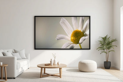 A large framed wall art print depicting a close-up white daisy with a yellow center, displayed in a modern living room setting above a light wood coffee table and next to a potted plant.