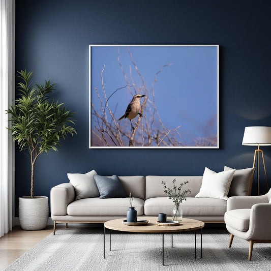 A framed wall art print showing a small bird perched on bare branches against a blue sky, displayed above a light gray sofa in a modern living room with a dark blue wall, potted plant, coffee table, and floor lamp.