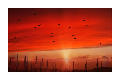 A fine art print depicting a dramatic sunset or sunrise sky in vibrant red, orange, and yellow hues, with the silhouettes of birds flying across the sky and the tops of tall masts along the horizon.
