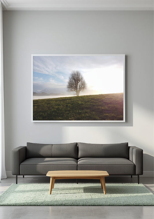 A framed landscape art print of a lone tree on a grassy hill under a cloudy sky, displayed on a light gray wall above a modern dark gray sofa and a light wood coffee table.