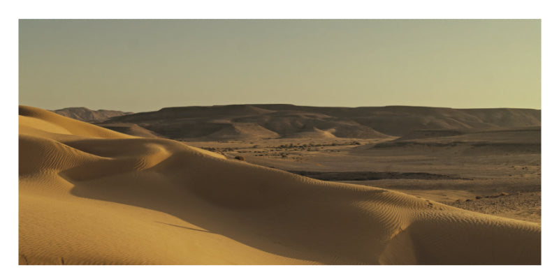Soft wind-shaped dunes stretch through a muted desert landscape in a photo mount