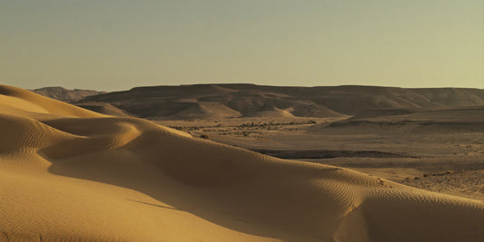 Soft wind-shaped dunes stretch through a muted desert landscape