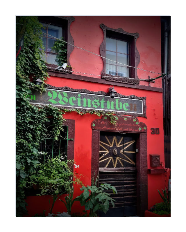 A red building facade with a dark wooden door, a green 'Weinstube' sign, ivy-covered walls, and small potted plants at the base.