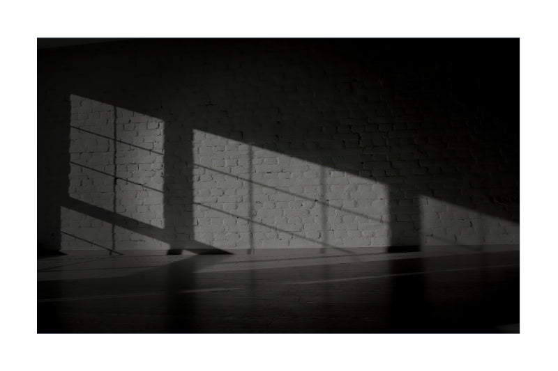 A black and white photograph of a brick wall with dramatic diagonal sunlight casting strong shadows across the wall and floor.