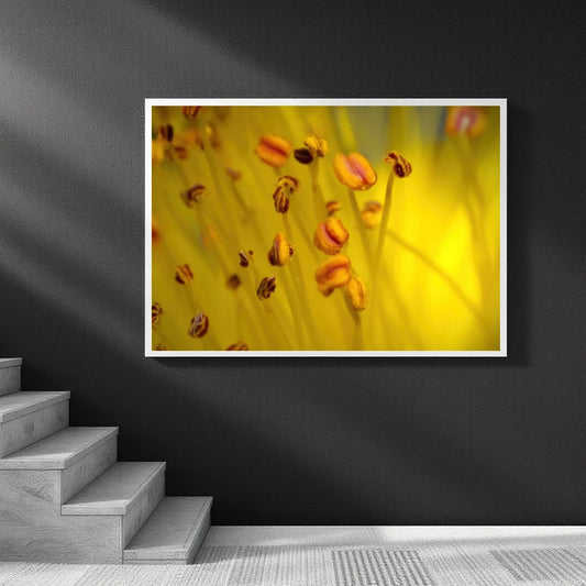 A framed wall art print showing a close-up yellow floral scene with small orange-brown flower buds, displayed on a dark gray wall above a staircase.