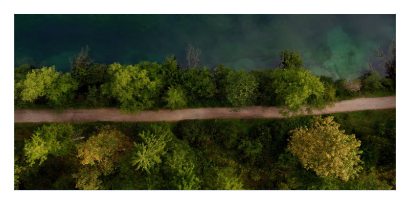 Aerial view of a narrow dirt road running horizontally through a dense green forest, with dark blue-green water visible along the top edge.