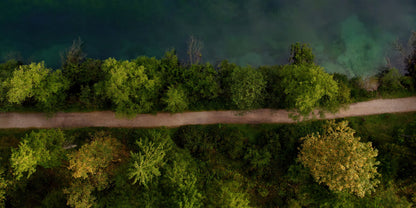 Aerial view of a forest path running parallel to a body of water, with dense green trees and a strip of blue-green water visible.