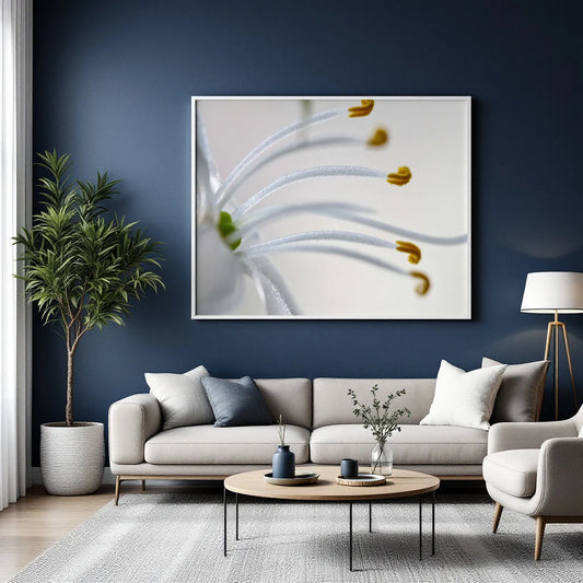 A framed wall art print featuring a close-up of white flower petals with yellow stamens, displayed above a light gray sofa in a modern living room with a dark blue wall, potted plant, and coffee table.