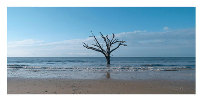 A square art print depicting a solitary, leafless dark tree standing in shallow ocean water on a sandy beach under a bright blue sky.
